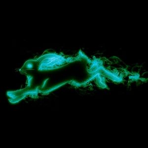 Meet your Posher, Allyx